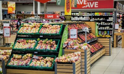 Descubre los mejores precios en botas de lluvia