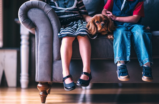 Zapatillas de lona para niño Victoria: ¡Comodidad y estilo!