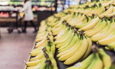 Encuentra todas las marcas de bolsos en un solo lugar